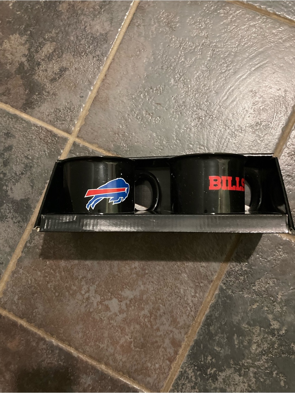 NFL Buffalo Bills Camping Mug Set with Two 15 oz. Mugs